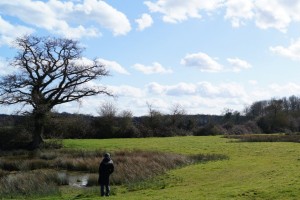 The former clay pits
